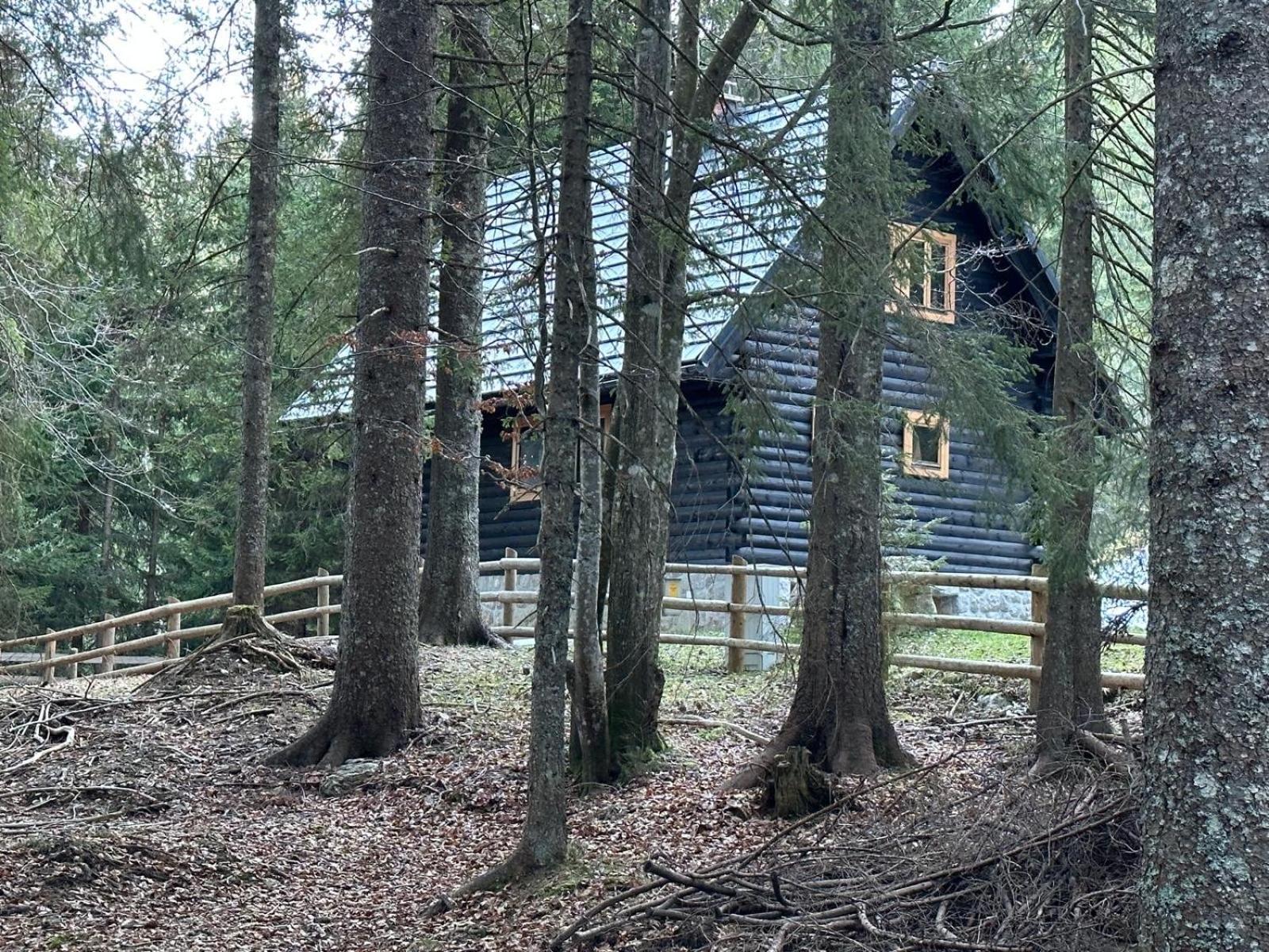Cosy Lodge Pokljuka Goreljek Exterior photo