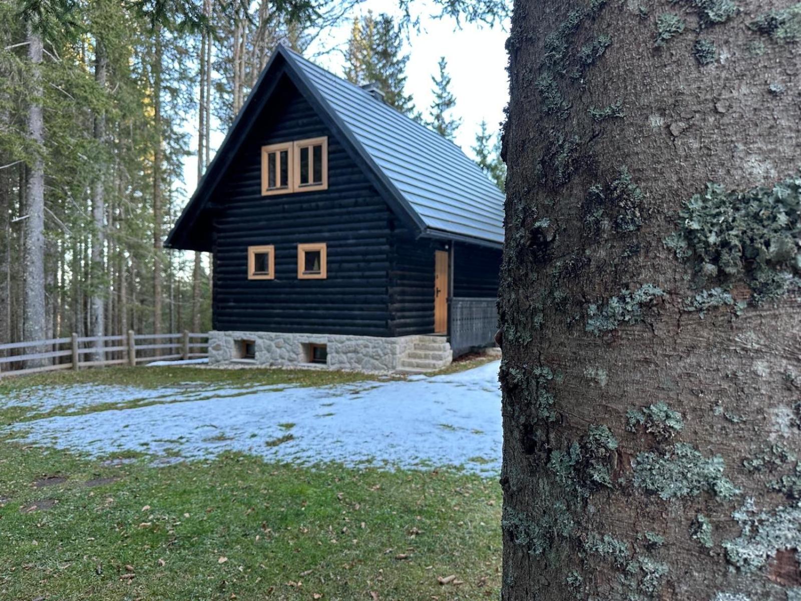 Cosy Lodge Pokljuka Goreljek Exterior photo